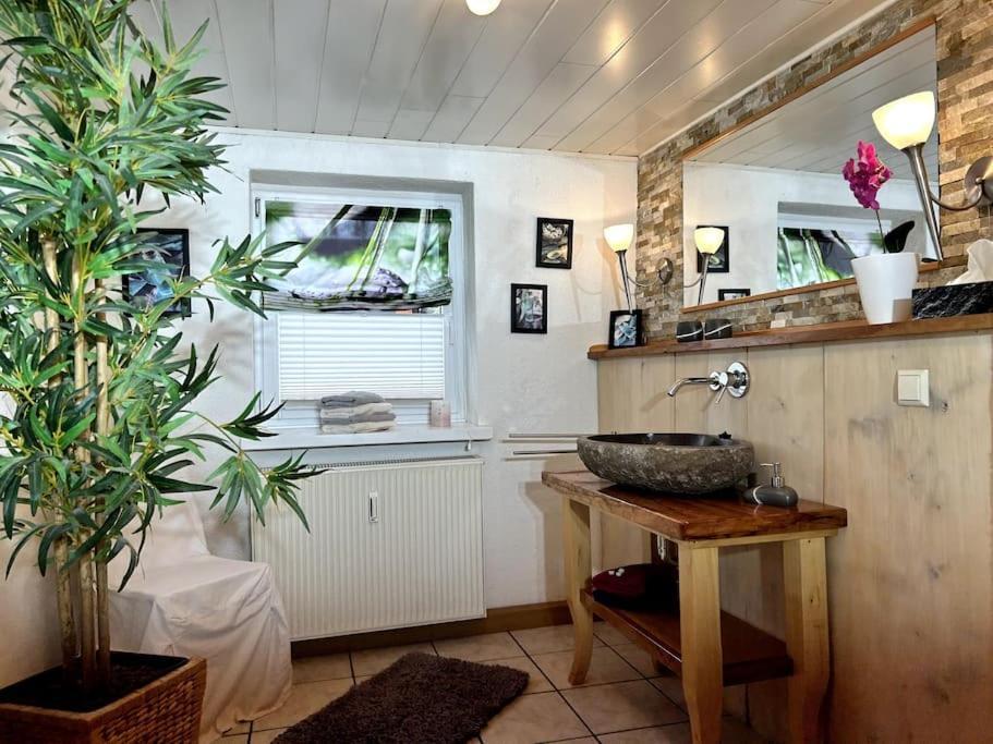 Rustikales Studio-Apartment Blockstube Im Haus Selma Großschönau Buitenkant foto